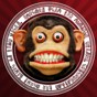 qmd官方版下載1.5.8教程
